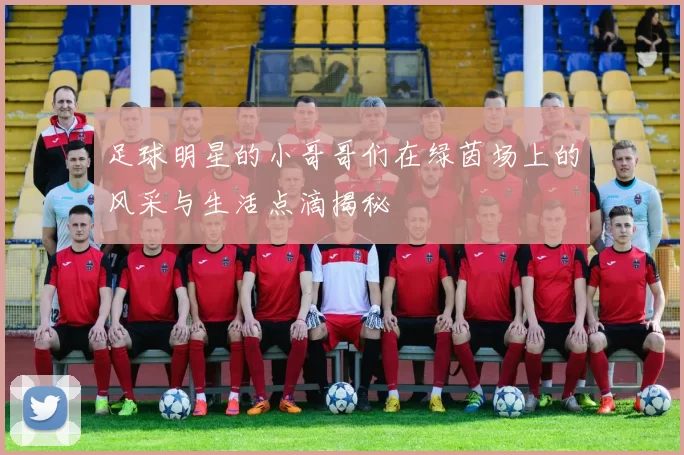 足球明星的小哥哥们在绿茵场上的风采与生活点滴揭秘