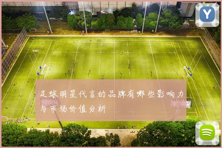足球明星代言的品牌有哪些影响力与市场价值分析